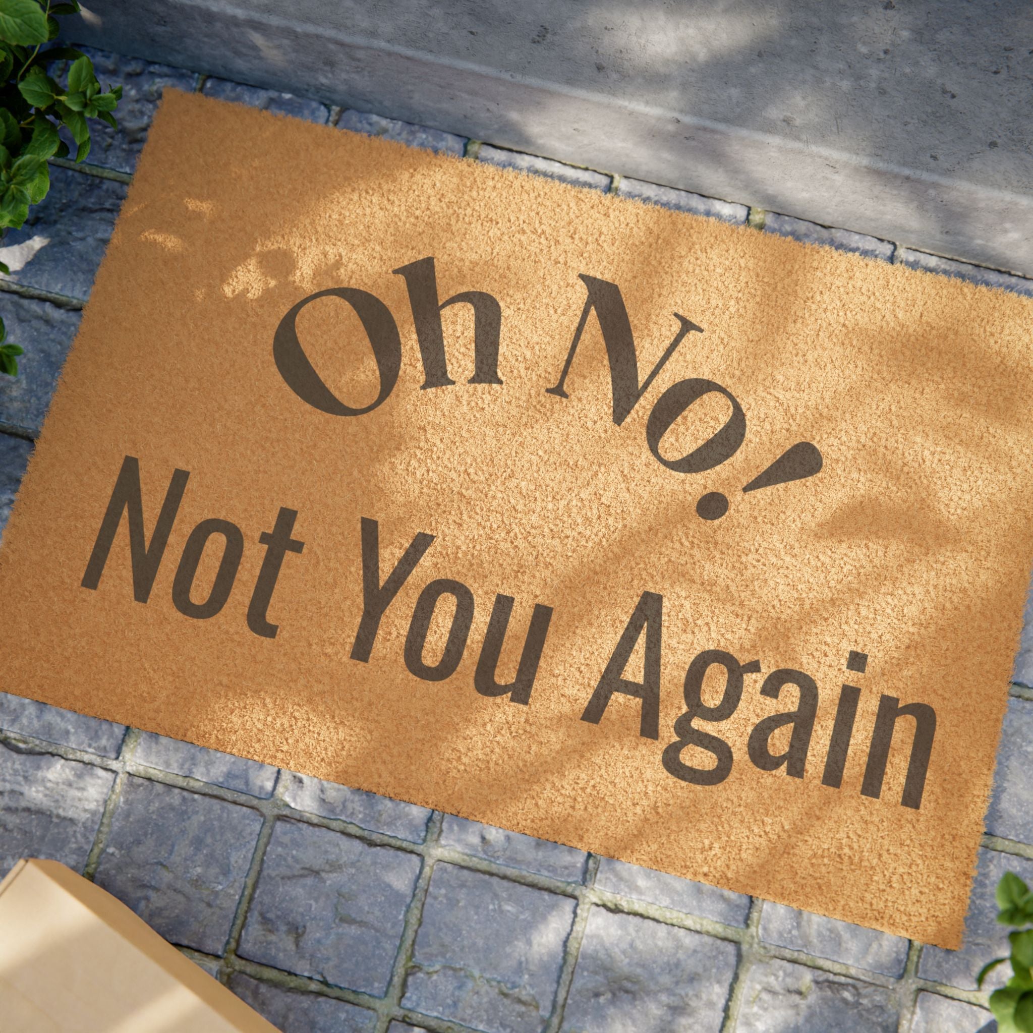 Oh No! Not You Again Doormat | Funny Welcome Mat, Coir Entryway Rug